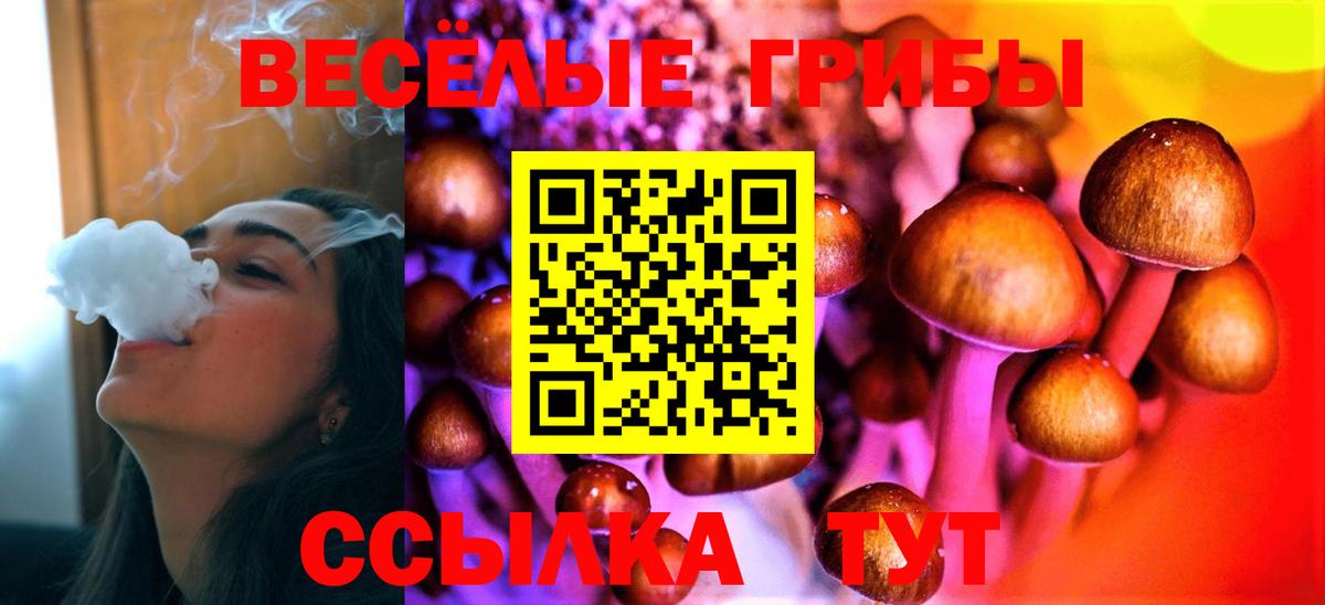 Галлюциногенные грибы GOLDEN TEACHER  Вход с VPN  Псилоцибиновые грибы мицелий  Дятьково 
